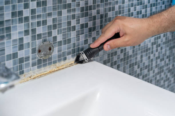 Best White Mold Remediation in Ogdensburg, NY